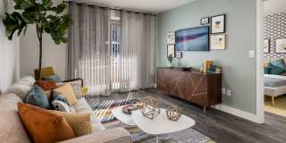 Elevate Apartments Gallery 3