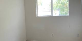 1723 Dove Creek Circle Gallery 8