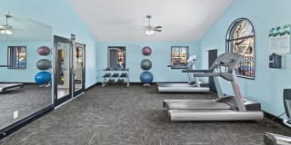 Verde Verde Gallery 18