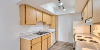 Rise at Estrella Park Gallery 33