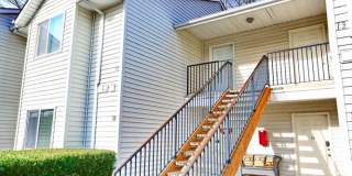 Cleveland Station Gallery 9