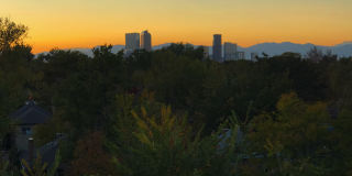 1311 Cook Gallery 31