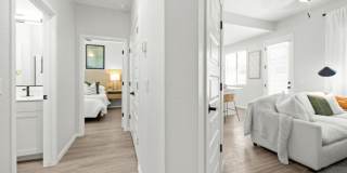 Canopy at Sundance Gallery 60