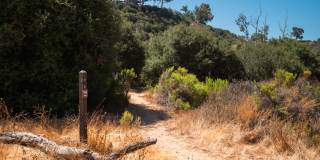 Canyon Ridge Gallery 23