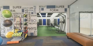 Cypress Creek Gallery 9