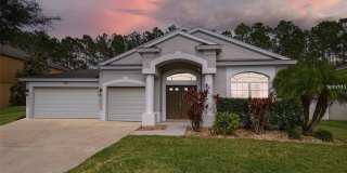 7346 CRESCENT PALM Drive Gallery 1