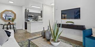 Preston Hollow Gallery 28