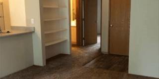 The Woodlands Apartments Gallery 6