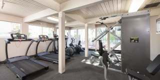 Tarzana Springs Gallery 7