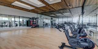 Sanctuary Gallery 23