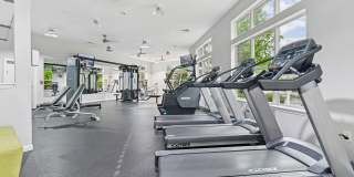 Orchard Park Gallery 25