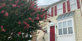 2071 PAWLET Drive Gallery 1