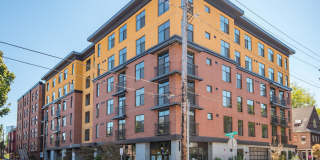 20 Pettygrove Gallery 1