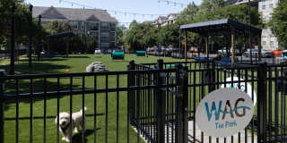 Avalon Falls Church Gallery 44