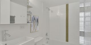 825 Dahlia Gallery 6