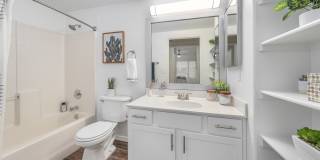 Luna at Fountain Hills by Mark-Taylor Gallery 1