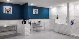 AMLI Lakeline Gallery 21