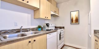 Parc Central Gallery 15