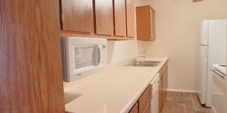 Ambassador Arms Gallery 19