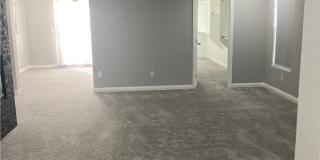 7020 Albatross Attic Street Gallery 33