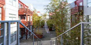 Soma Residences Gallery 7