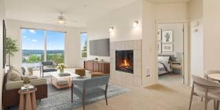 Apex Apartments Gallery 4