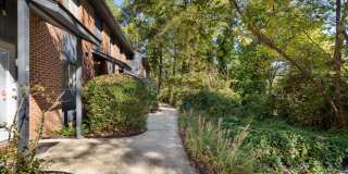 609 Hillsborough Street Gallery 1