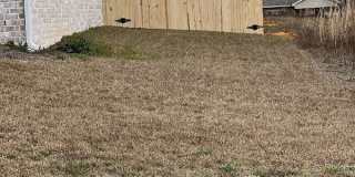 174 Sandy Hills Ct Gallery 2