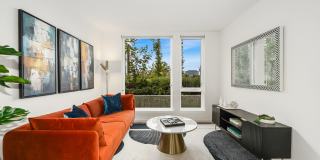 Ellis at Bel-Red Gallery 1