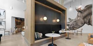 Alta West Morehead Gallery 43
