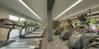 Woodbury Gardens Gallery 4