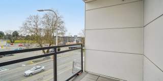Sunset Terrace Gallery 47