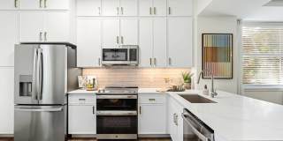 ANKR Wilton Manors Gallery 4