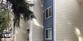 Cute and Upgraded Condo in Redmond! Gallery 18