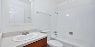 The Canopy Gallery 28