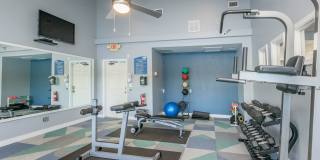 Fountain Lake Bradenton Gallery 14