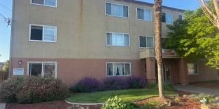 Eliopoulos Family Eliopoulos Family Gallery 1