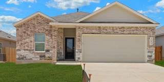 31823 Christmas Rose Gallery 1