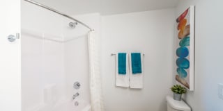 Edition Apartments Gallery 44