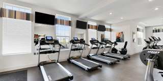 Lawndale Commons Gallery 23