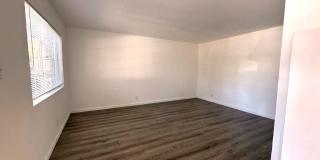 302 Dumont Ave Gallery 5