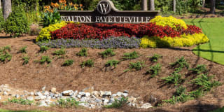 Walton Fayetteville Gallery 2