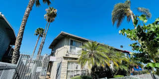 4115 Palmwood Gallery 1