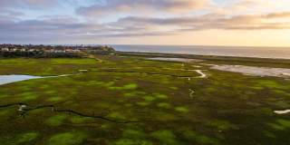 2465 Caminito Ocean Cove Gallery 29