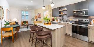 The Brynn Apartments Gallery 2