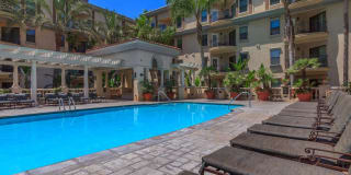 The Piero Gallery 82