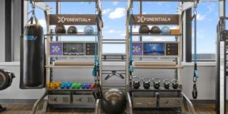 The Grand Gallery 30