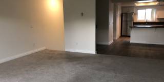 156 Grandview Street - 4 Gallery 6