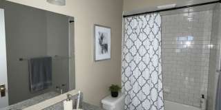 Apartments at 400 Elmwood Gallery 5