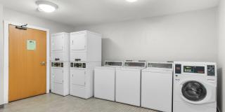 Willow Pond Gallery 9